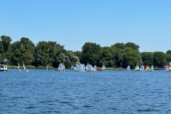 IMG_3441