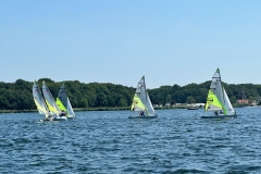IMG_3542